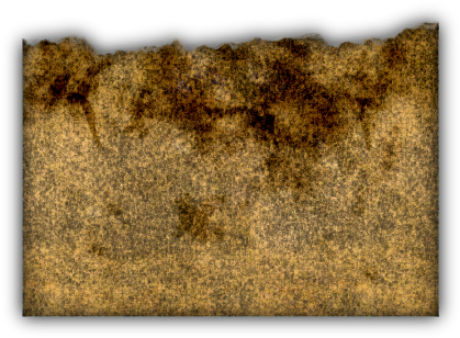 06 Feb 2009 - Grass (507x369), Png Download