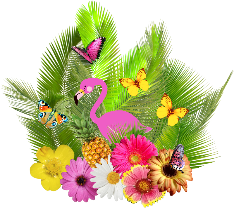 Natureza Flamingo Abacaxi🍍 Borboleta Folhagem Flores (1024x1024), Png Download