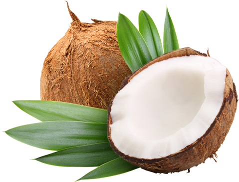 Properties And Benefits Of Coconut Oil - Anjou Coconut Oil 32 Oz, Organic Extra Virgin, Cold (500x500), Png Download