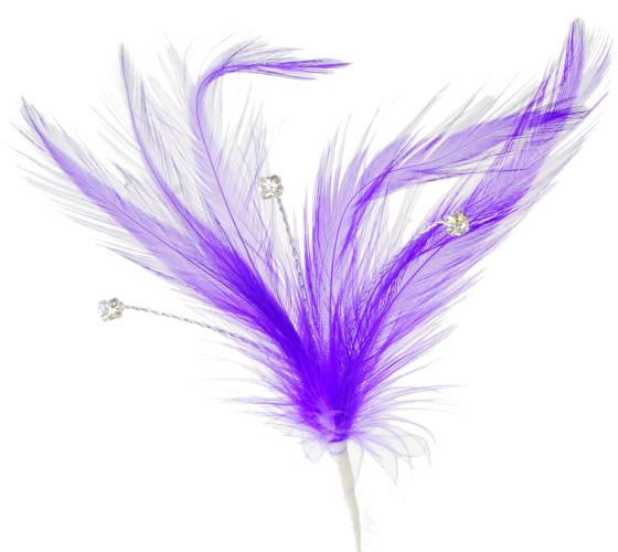 Single Peacock Feathers Png Download - Flutters Feathers - Purple (15cm Long, 3 Pcs Per Pack) (573x500), Png Download