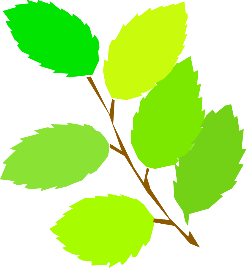 Simple Spring New Leaves - Spring Clip Art (831x900), Png Download