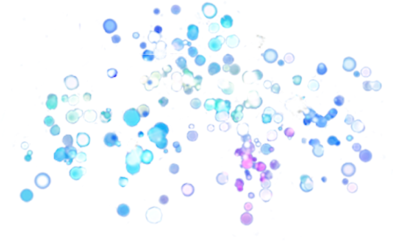 Svg Library Download Sparkle Transparent Transparentpng - Funkypinks Kleiner Schmetterling Anhänger Ohrringe (1600x1368), Png Download