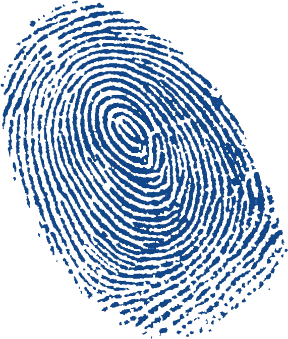 Fingerprint Scan Fingerprint To Login - Fingerprint Png (604x706), Png Download