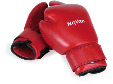 Boxing Gloves Nexan Training, 12 Ounce - Bokshandschoenen 454 G (500x500), Png Download