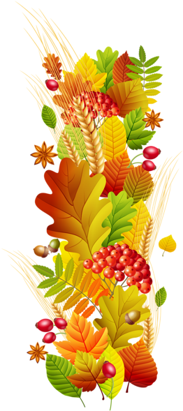 Fall Png Transparent Picture - Liście Ramki (279x600), Png Download