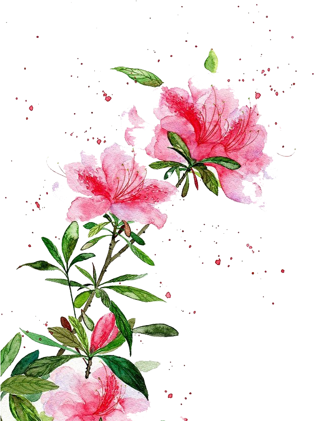 Banner Black And White Download Watercolor Flowers (658x845), Png Download