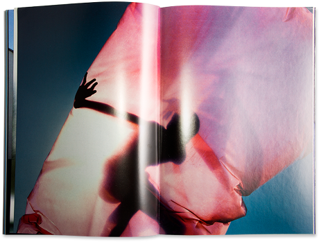 Previous / Next Image - Tulip (670x446), Png Download