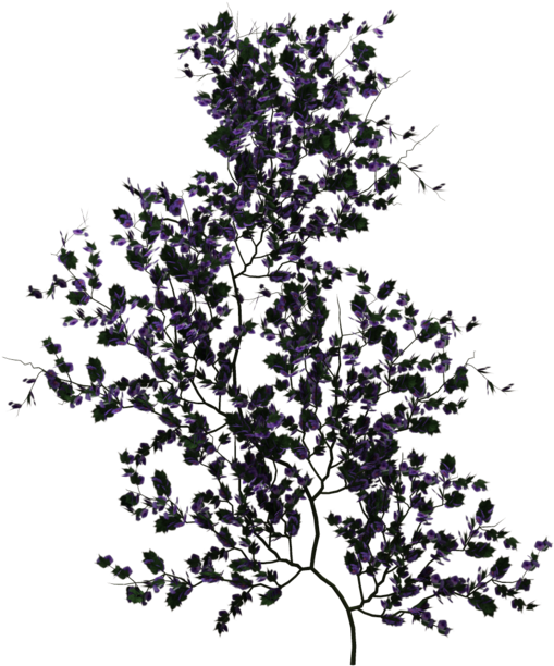 More Like Flower Png By Melissa- - Vines For Rendering (1024x639), Png Download