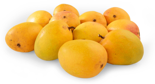 Alphonso - Alphonso Mango Mumbai (500x271), Png Download