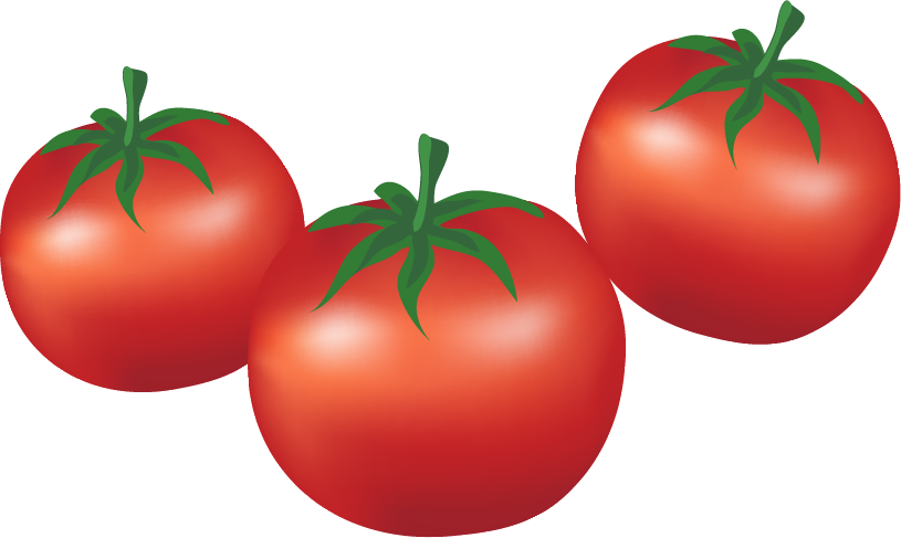 Plum Tomato Bush Tomato Cartoon Vegetable - Tomatoes Cartoon (815x487), Png Download