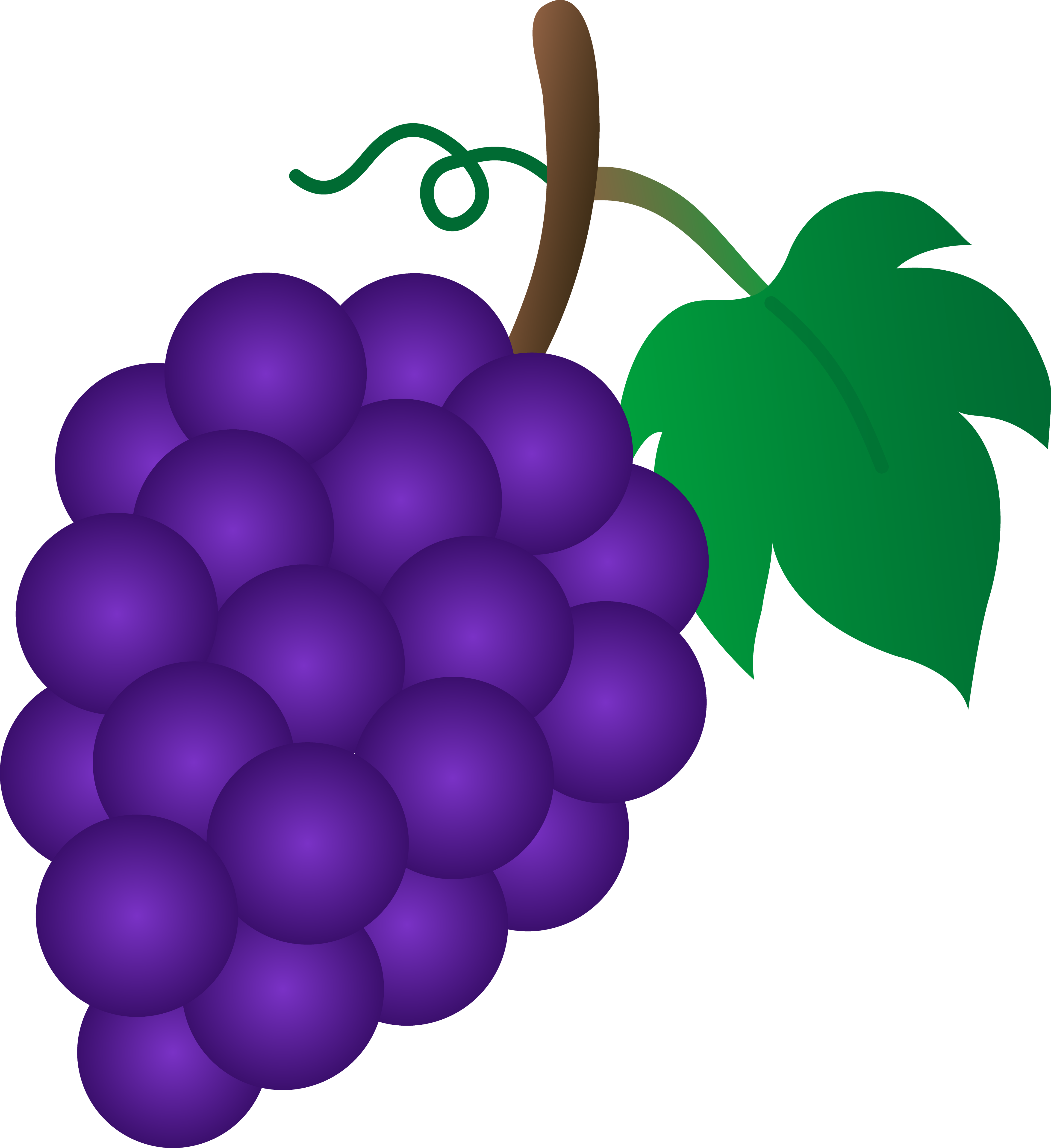 Grape Clipart Transparent Background - Grapes Clipart (504x550), Png Download