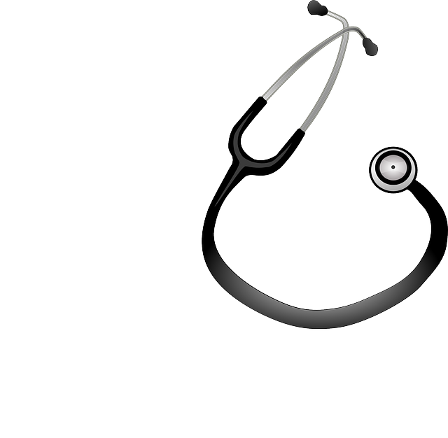Stethoscope, Doctor, Equipment, Medical, Medicine - Estetoscopio Em Vetor Png (640x626), Png Download
