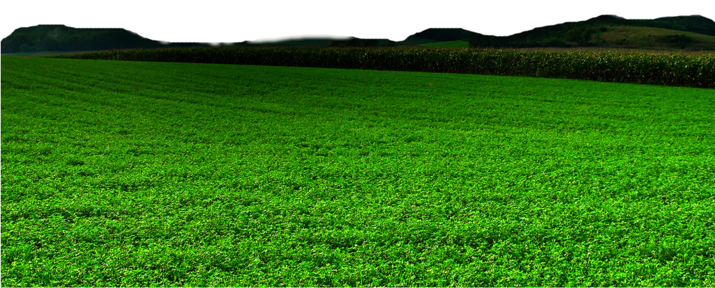 Nature Free Png Image - Nature Png (1024x768), Png Download