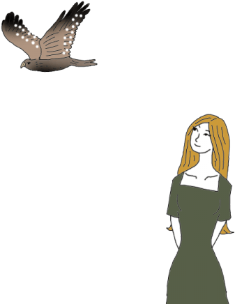 Hawk - Red-tailed Hawk (450x450), Png Download