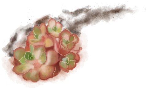 Bringing You Closer To Nature - Gift (480x341), Png Download