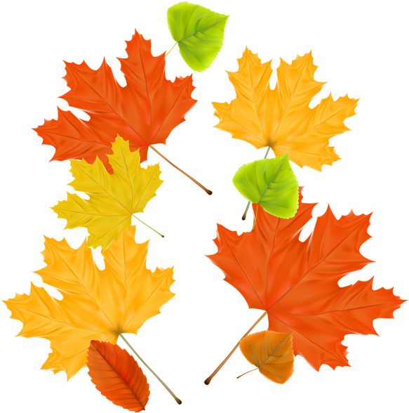 Gallery Free Clipart Picture&hellip Fall Png Autumn - Осенние Листья (595x600), Png Download