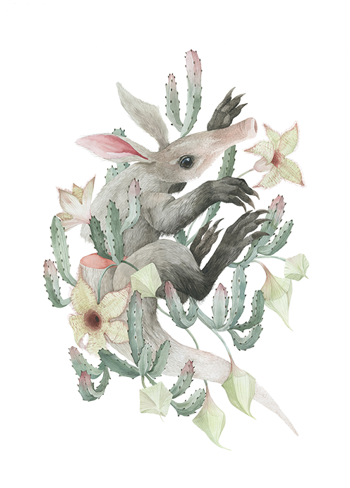 Aardvark And The Carrion Cactus - Carrion Flower (499x707), Png Download
