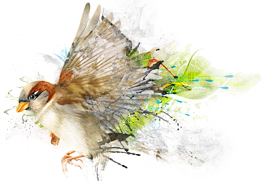 Gorriones 20 De Marzo, Día Mundial Del Gorrión - World Sparrow Day 2018 (875x606), Png Download