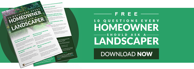 Are You Asking Your Landscaper The Right Questions - Question (620x220), Png Download