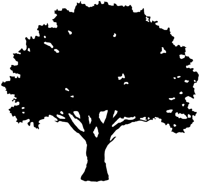 Oak Tree Silhouette Logo (827x709), Png Download