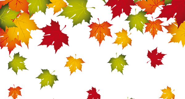Fall Is Here Crafty Morning - Autumn Decoration Flowers Transparent (600x321), Png Download