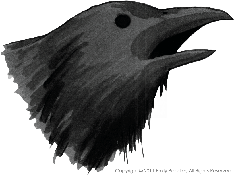 Collection Of Free Raven Fantasy Download On - Raven Drawing Png (830x646), Png Download
