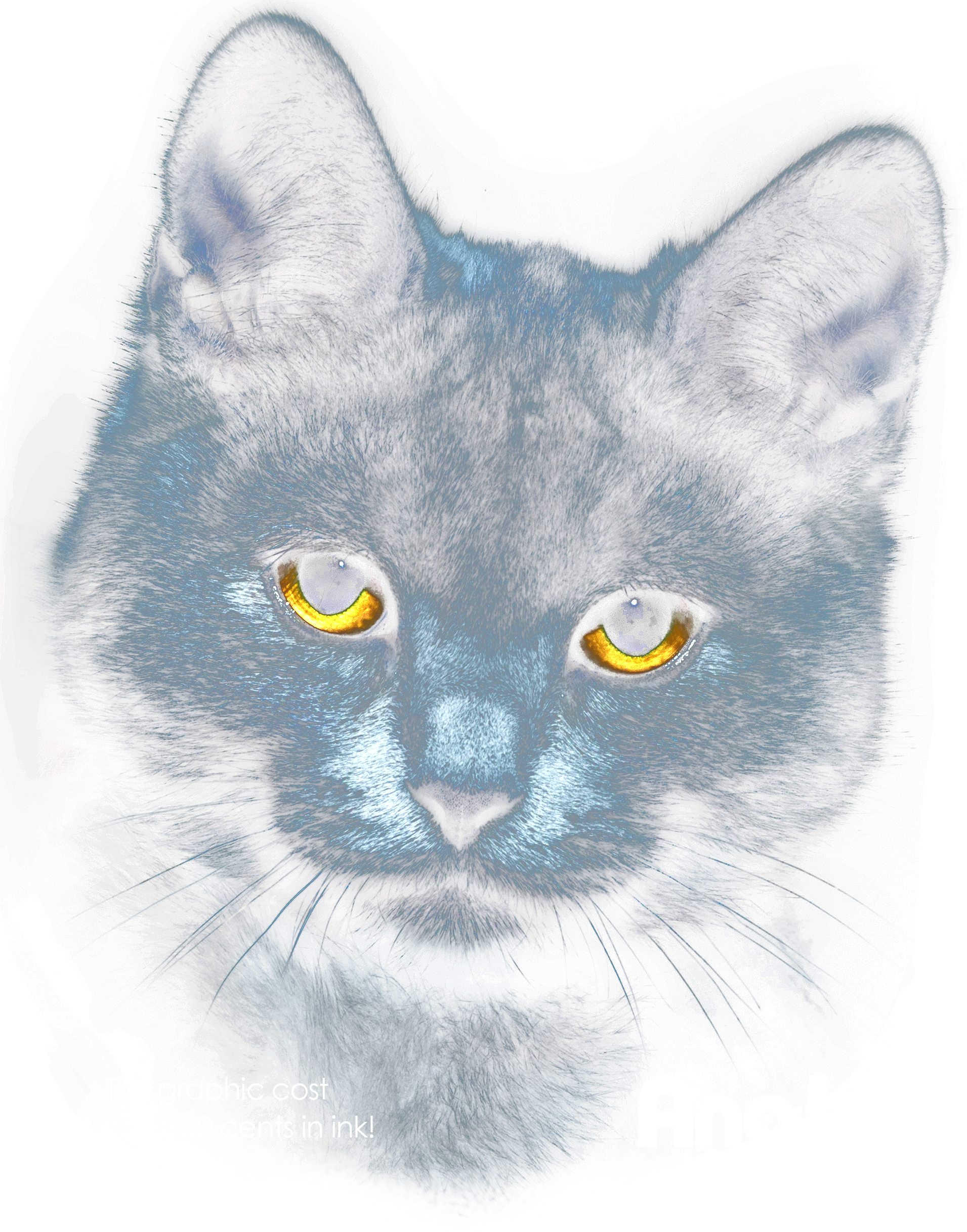 Black Cat - Chartreux (1911x2436), Png Download