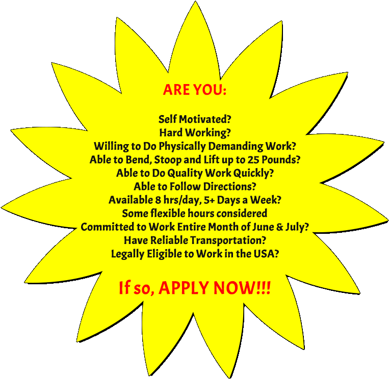 Image Information - Circle (790x766), Png Download