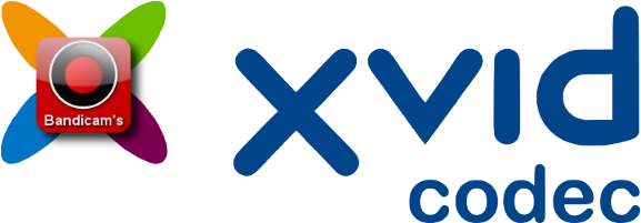 "xvid" Is A Codec , That Is Part Of The Mpeg-4 Family - Cat (640x320), Png Download