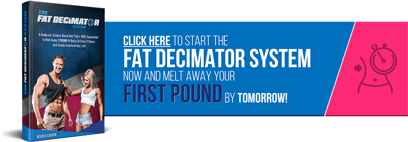 Best Software Software Bandicam - Fat Decimator System By Wes Virgin (900x338), Png Download