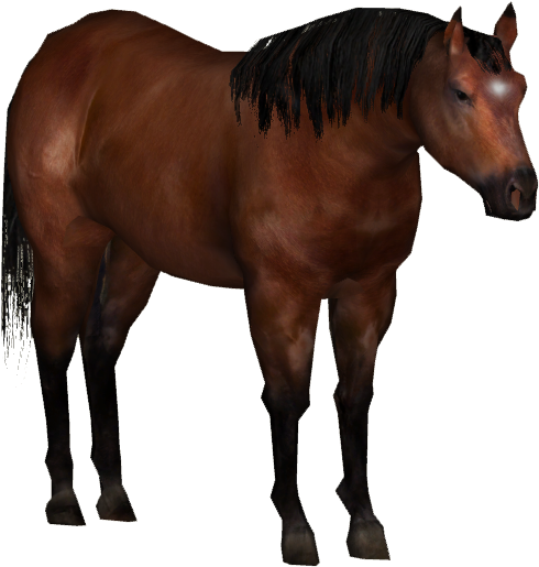 Lac La Croix Indian Pony - Sorrel (514x514), Png Download