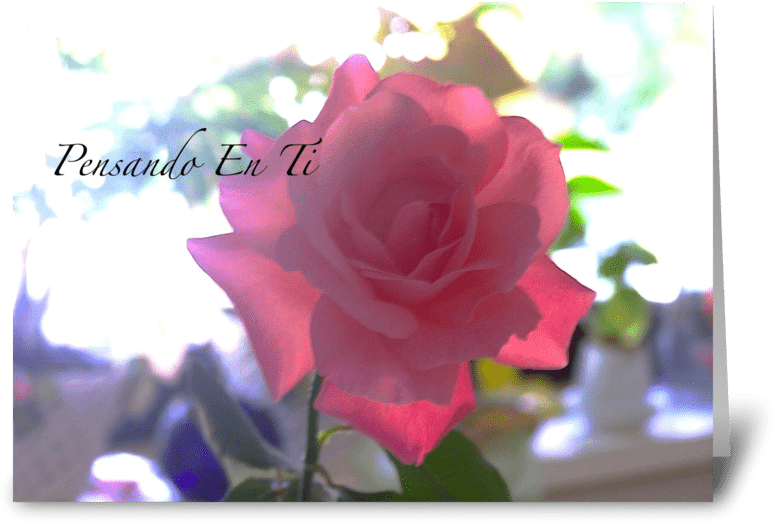 Pensando En Ti/thinking Of You Greeting Card - Greeting Card (848x698), Png Download