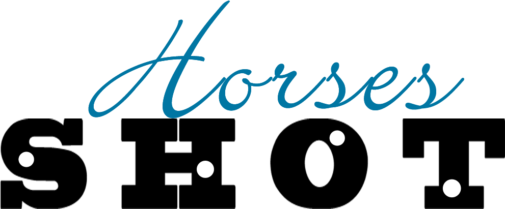 Horses Shot In Text - Facebook (1050x450), Png Download