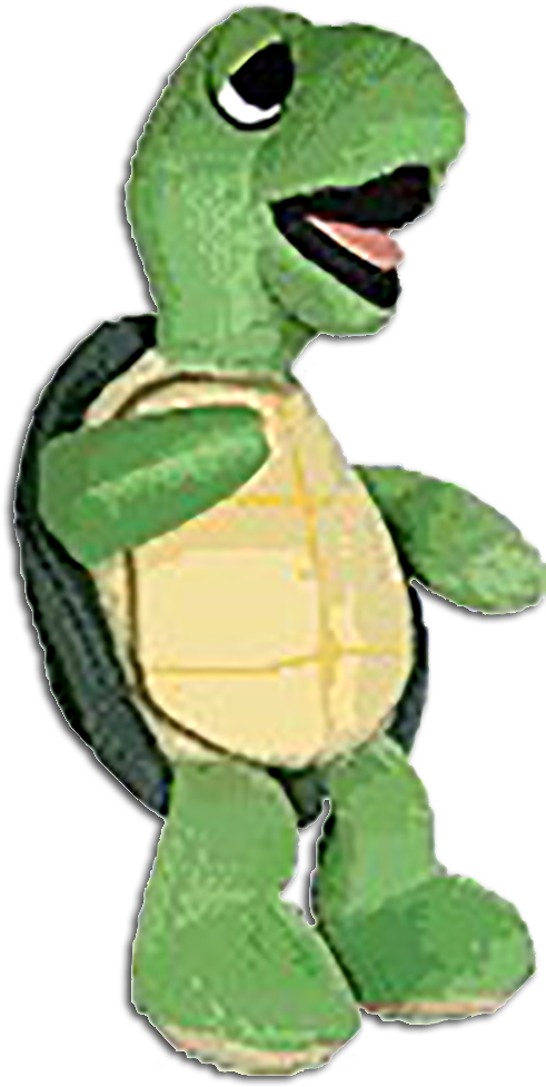 Grateful Dead Terrapin Bean Turtle - Terrapin Grateful Dead Bean Bear [toy] (506x1000), Png Download