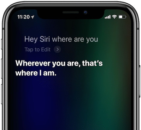 Siri How To Find Iphone 1 - Siri In Iphone X (500x463), Png Download