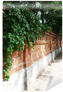 Stone Wall Of The Old Brick With Ivy And Vine Wall - Stock Photography (400x400), Png Download