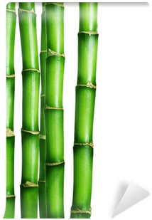 Bamboo (400x400), Png Download