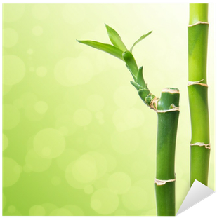 Photography (400x400), Png Download
