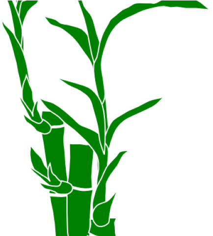 Bamboo Clipart Border - Clip Art (640x480), Png Download