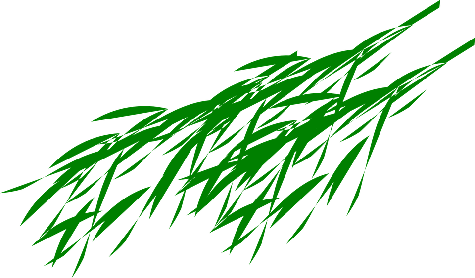 Bamboo Leaf Png Transparent Image - Panda Bear Eating Bamboo (960x563), Png Download