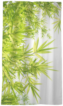 Beautiful Bamboo Border Sheer Window Curtain • Pixers® - Bamboo Border (400x400), Png Download