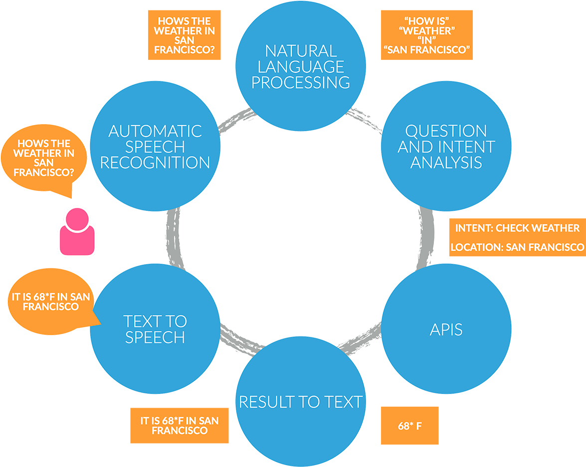 Ios 11 Siri In Your Imessage Conversations Expected - Circle (1214x972), Png Download