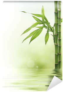 Bamboo Border With Bokeh And Copy Space Wall Mural - Tropical Woody Bamboos (400x400), Png Download