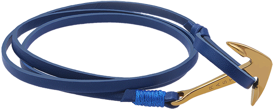 Gold Anchor-blue - Ethernet Cable (550x309), Png Download