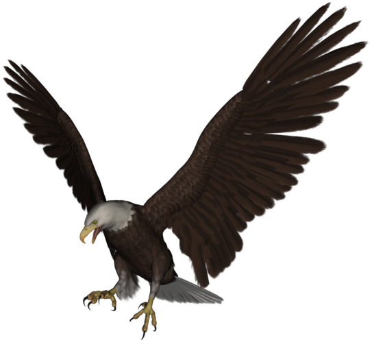 Aigle (731x640), Png Download