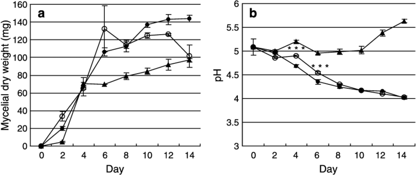 Mycelial Dry Weight - Diagram (850x361), Png Download