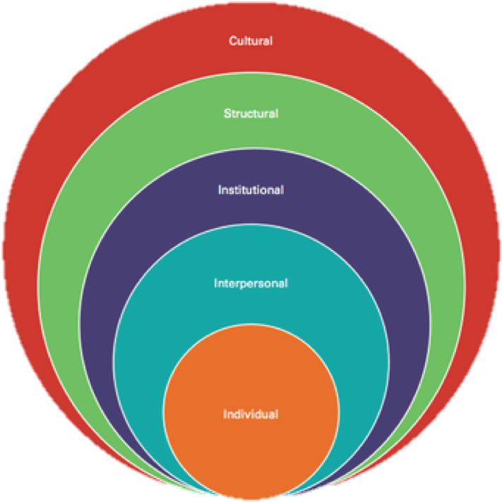 Professor Peter Figueroa To Investigate Issues In Access, - Institutional Level (740x744), Png Download