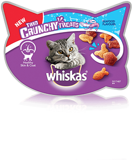 whiskas crunchy