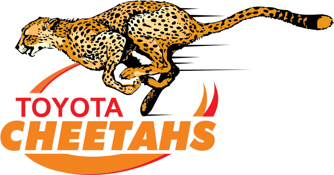 Cheetah Png Transpa Images Clip Art - Cheetahs Rugby Logo (1024x537), Png Download