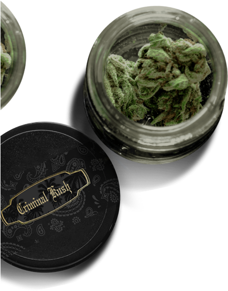 Cannabis - Copying (447x603), Png Download
